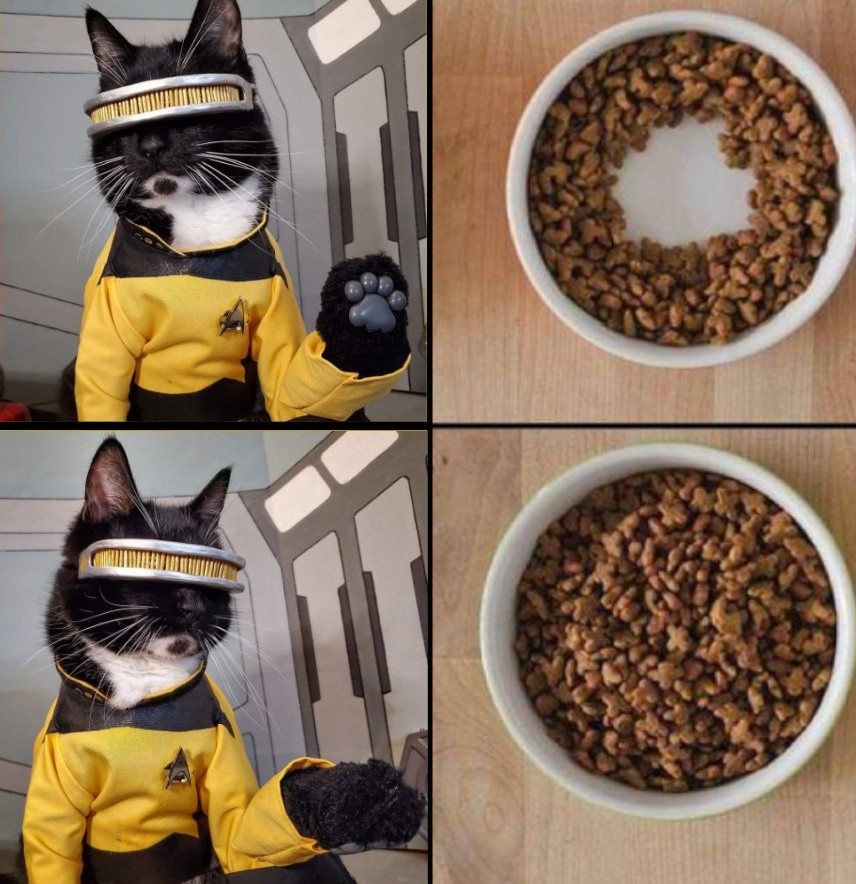 Cat_Cosplay's tweet photo. #JustCatThings https://t.co/otmnPlBda6
