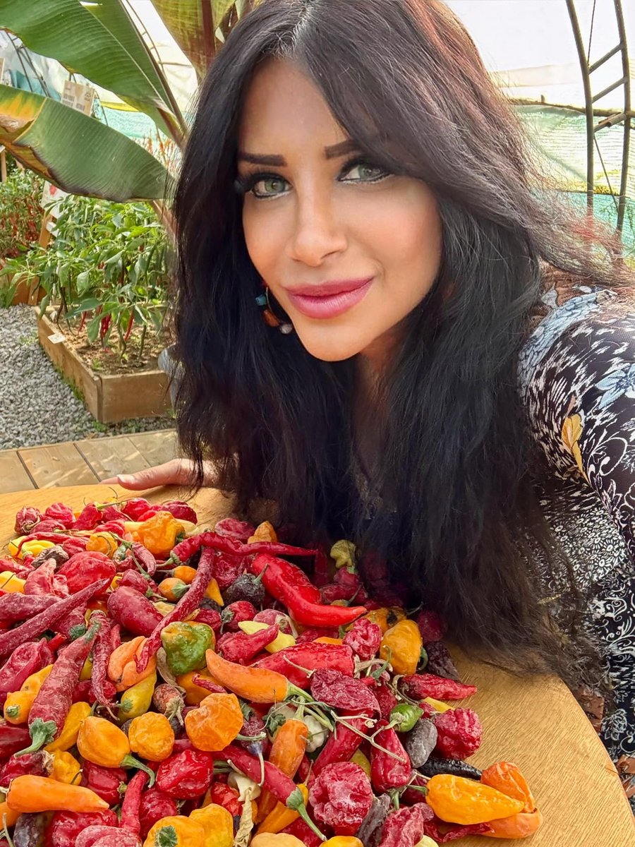 ukchilliqueen's tweet photo. What do you do when you see a pile of beautiful peppers? Take an obligatory selfie of course! 📷📷
At Chilli Hills Farm, Sofia, Bulgaria. 📷
#ukcq #ukchilliqueen #chillihills #sofia #bulgaria #chilli #chile #chili #pepper #farm #myjourney #selfie #selfietime https://t.co/PR9ygdYPGR