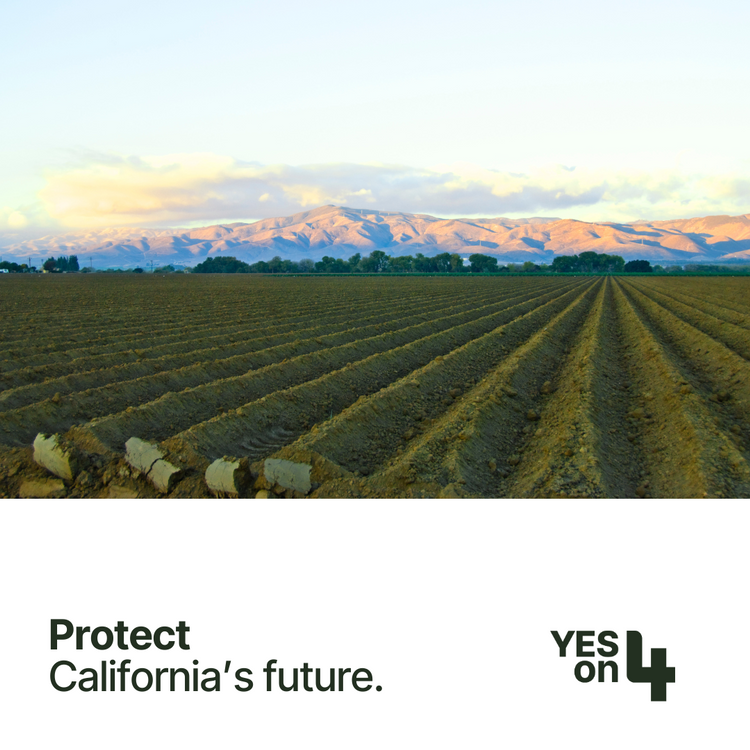 EEC_California's tweet photo. VOTE VOTE VOTE! As a major contributor to the nation's food supply, protecting CA's agricultural lands protects our economy &amp; our future! #YesonProp4 helps farmers build climate resilience &amp; sustainability to protect against increasing climate disasters. https://t.co/PbUCdrwovE
