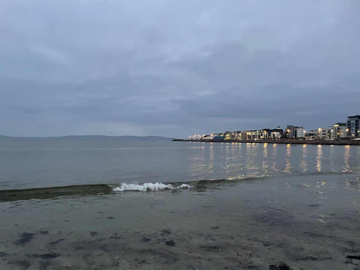 eoinmauricedaly's tweet photo. Anyone who talks about autism like it’s a tragedy or an affliction should spend time with a child happy to stand indefinitely at the shoreline on a calm autumn evening in a perfect state of presence and connection to their surroundings https://t.co/lgOvquTD8T