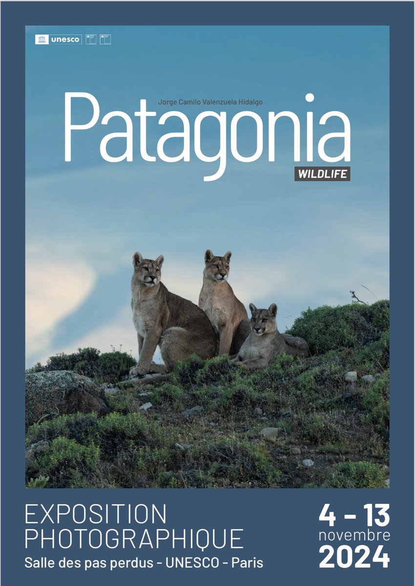 Chile_UNESCO's tweet photo. Embajador @Rfernandezdaza y Subdirectora Ciencias Naturales #UNESCO @LidiaArthurBri1 inauguraron exposición Patagonia Wildlife 🐾🌎 del fotógrafo 🇨🇱 @junglejorge74 Jorge Valenzuela H. para generar consciencia sobre protección biodiversidad y destacar el rol de 🇨🇱 en esa tarea. https://t.co/2AaVunWuvT