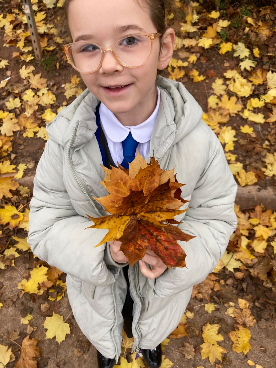Year 3 enjoyed collecting Autumn leaves, as inspiration for their poems this week!