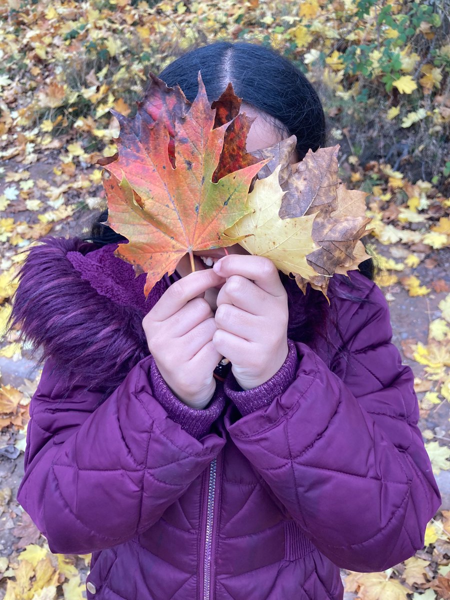 Our Lady and St Hubert's Primary tweet media