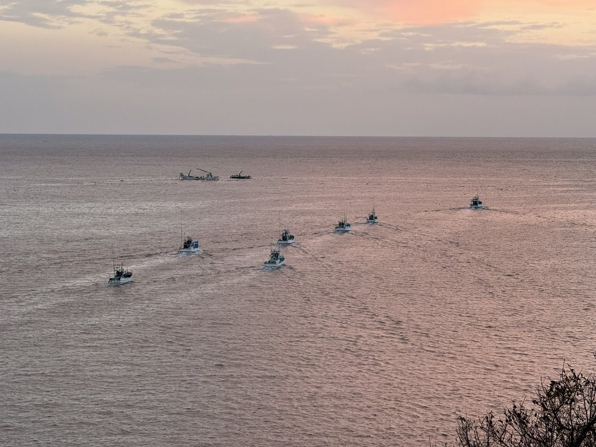 KunitoSeko's tweet photo. Good morning everyone.
The hunting boat left the harbor at 06：06

#和歌山 
#太地
#Taiji
#太地くじらの博物館 
#太地くじら浜海水浴場 
#太地いさな組合 
#太地漁業協同組合 
#イルカ追い込み猟廃止を求める 
#イルカ追い込み猟 
#イルカ追い込み反対 
#イルカトレーナー 
#イルカ https://t.co/d3VGgDhUZL
