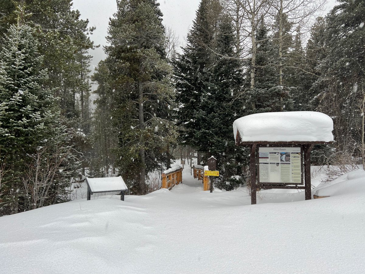Wild Basin Road has reopened to the winter trailhead (it had been closed at the Sandbeach Trailhead this morning). 
Dogs and bicycles are not allowed past the Wild Basin Winter Trailhead (the road is in Winter Trail Status).  (NPS File Photo)