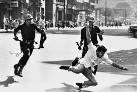 gabrielabilo1's tweet photo. Fotojornalismo em luto.
Descanse, Evandro Teixeira. Obrigada por seu olhar, obrigada por tudo.
Eterno na história do Brasil https://t.co/jDYfD2LB1t