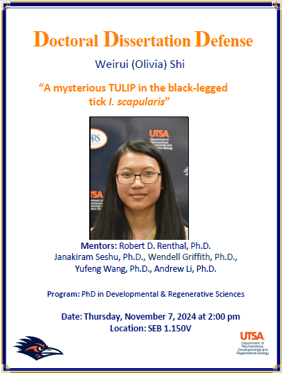 UTSANeuroDevRe1's tweet image. Congratulations to Olivia Shi for her upcoming doctoral dissertation defense! The NDRB department wishes you all the best as you take the next steps in your journey! 🎉 #utsa #utsaroadrunners #utsacos #utsandrb #BirdsUp