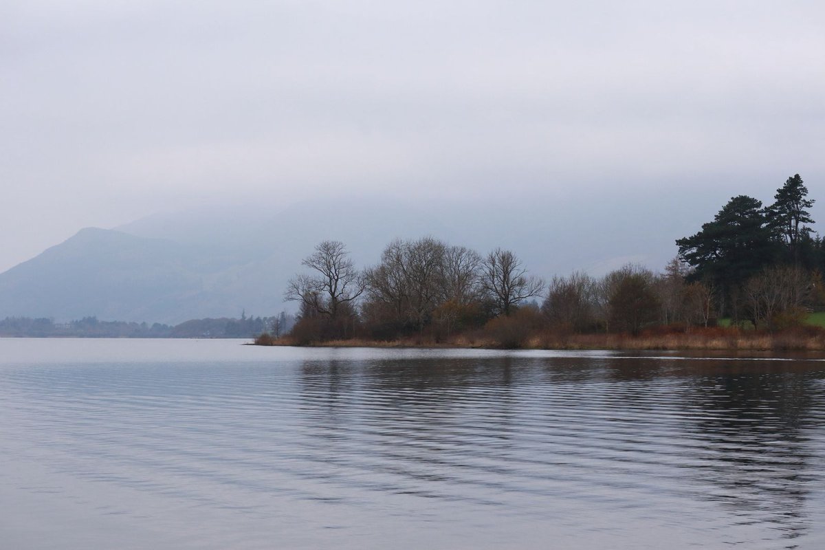 Jill Holliday tweet media