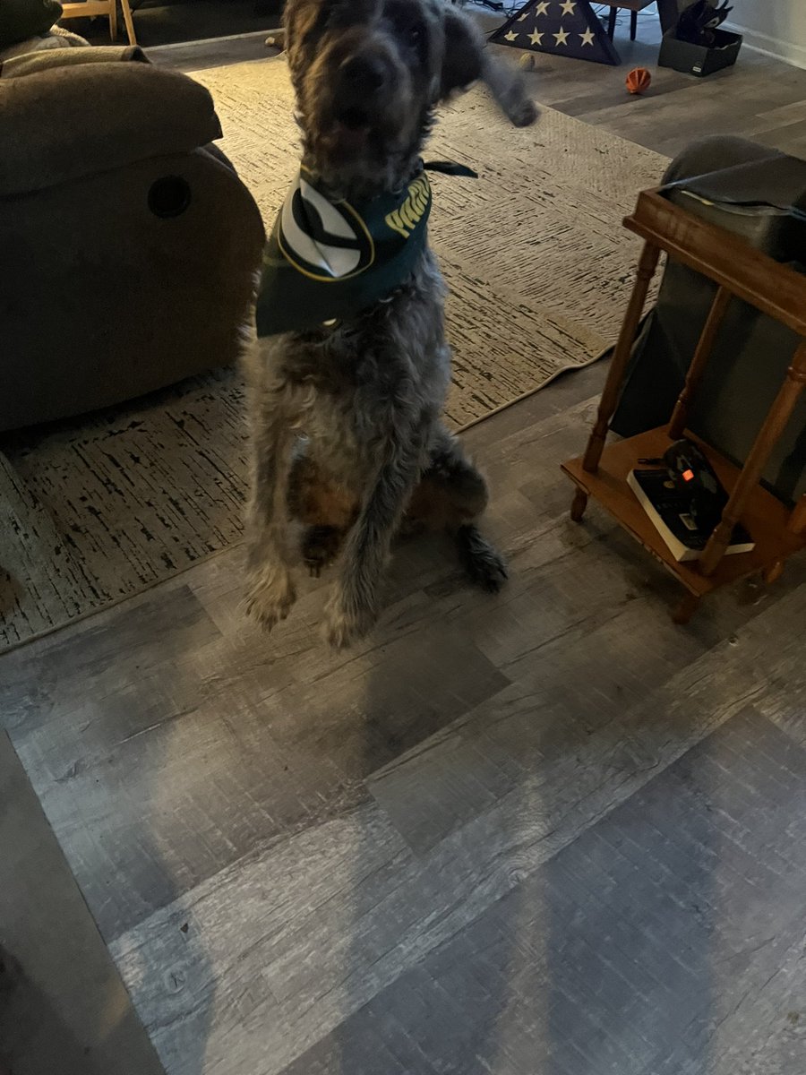 MathiasButs's tweet photo. This guy had such a rough morning and idk how much longer I’ll have with him but it makes me so happy to see him like I had to share. Along with carrying the G of course. 
#GoPackGo
#GoZachGo https://t.co/sBDTOEx3GH