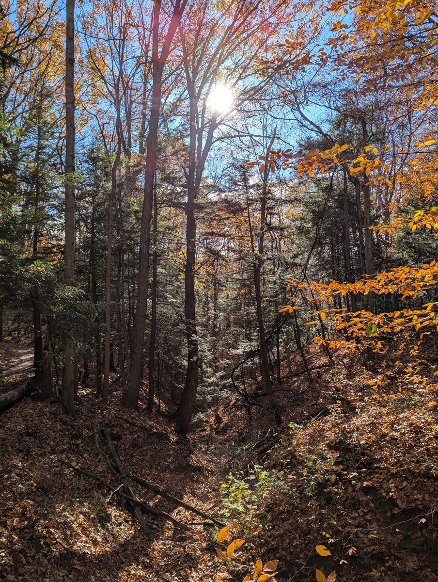 Going outside is pretty cool I guess