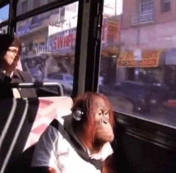 killatyun's tweet photo. mi cara en el bus vs lo que escucho https://t.co/dk0pwhYtXD