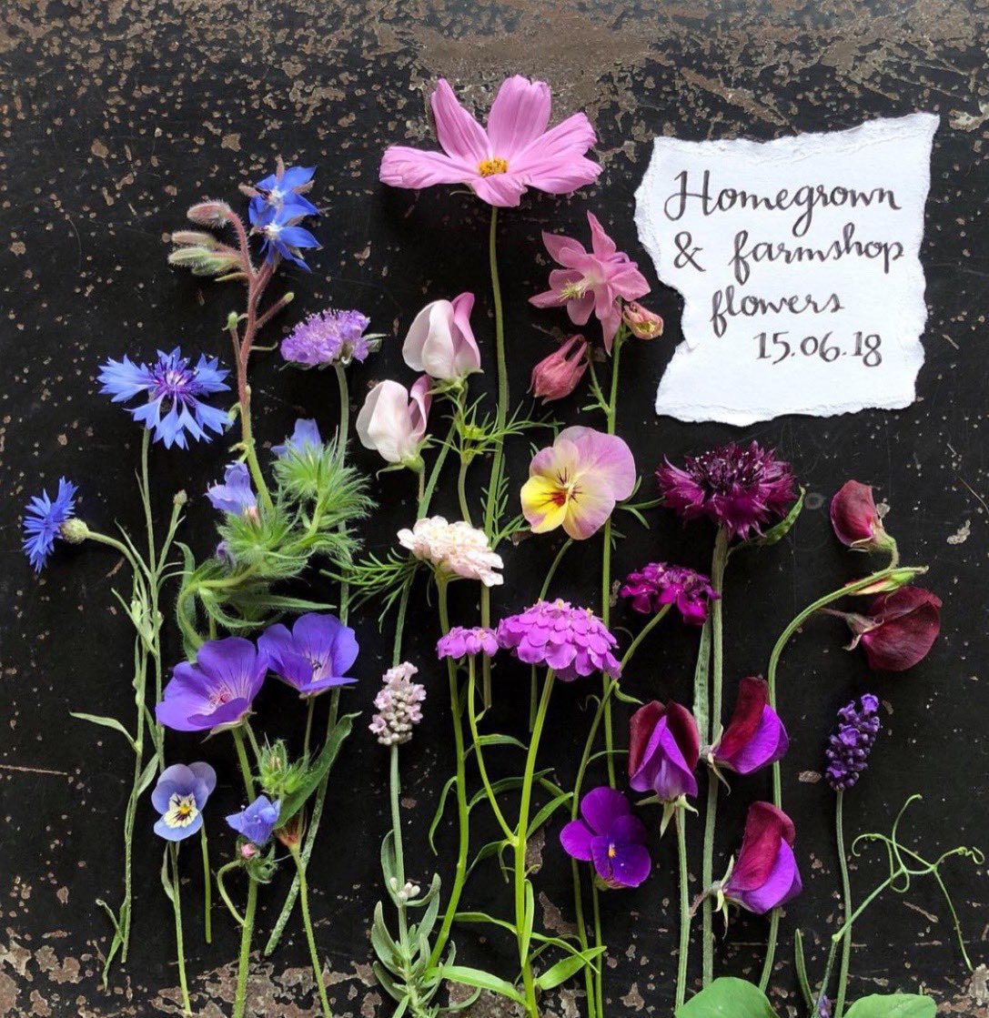 If your brain’s feeling v sad &amp;/or loud,you’re lonely but it’s hard to admit it, you’re missing someone yet they weren’t kind to you, or you’re facing something that feels too big &amp; grim…then hi,me too. 
I’m waving from my sad but cosy nest &amp; my photos might help a little x👇🏼