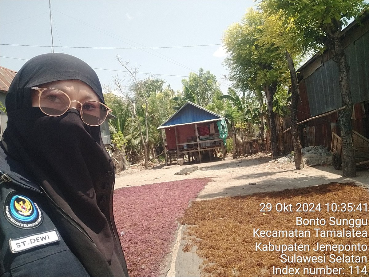 stdewi98's tweet image. Selasa 29/10/2024 Pengambilan Data Produksi Pokdakan Intan Bersinar Jenis Eucheuma Cottonii sebanyak 450 @ 4000 di Desa Bontosunggu Kec.Tamalatea Kab Jeneponto
# Puslatluh KP
# BRPBAPPP Maros
# Aksi Luhkan Jeneponto