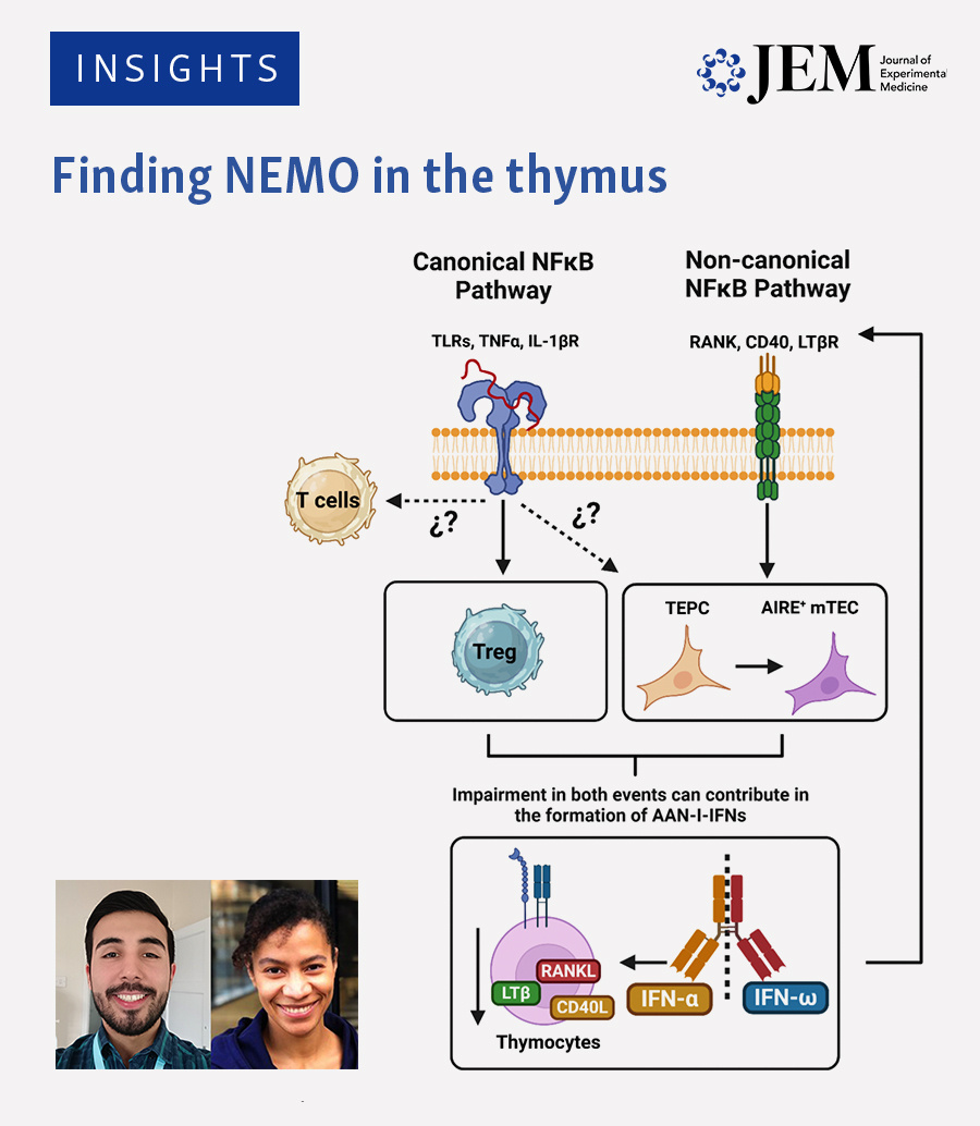 Journal of Experimental Medicine (@jexpmed) on Twitter photo .<a href="/JRosain/">Jeremie Rosain</a> et al (hubs.la/Q02Vb-m60) describe the association btwn. anti-type I interferon autoantibodies & severe viral infections in patients w/ incontinentia pigmenti & heterozygous LOF NEMO variants. Ocampo-Godinez & <a href="/alexyema/">Alex Yema Kreins 💙💛</a> discuss the study: hubs.la/Q02Vb-6b0 .<a href="/JRosain/">Jeremie Rosain</a> et al (hubs.la/Q02Vb-m60) describe the association btwn. anti-type I interferon autoantibodies & severe viral infections in patients w/ incontinentia pigmenti & heterozygous LOF NEMO variants. Ocampo-Godinez & <a href="/alexyema/">Alex Yema Kreins 💙💛</a> discuss the study: hubs.la/Q02Vb-6b0