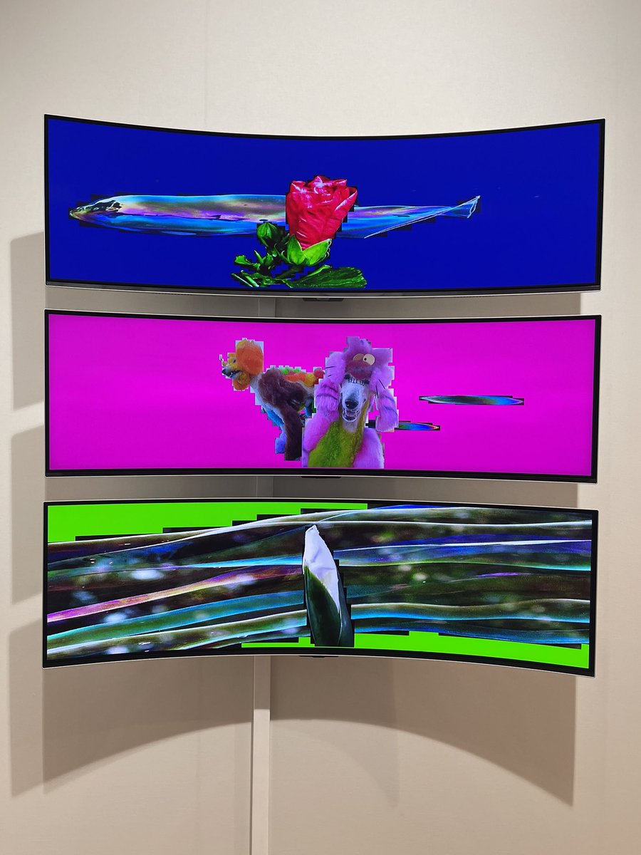 It is looking amazing.