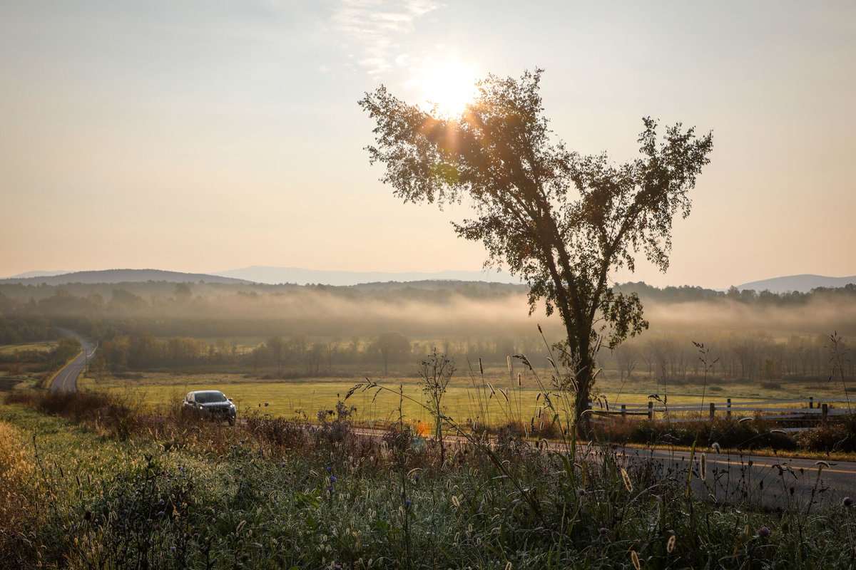 ThinkVermont tweet media