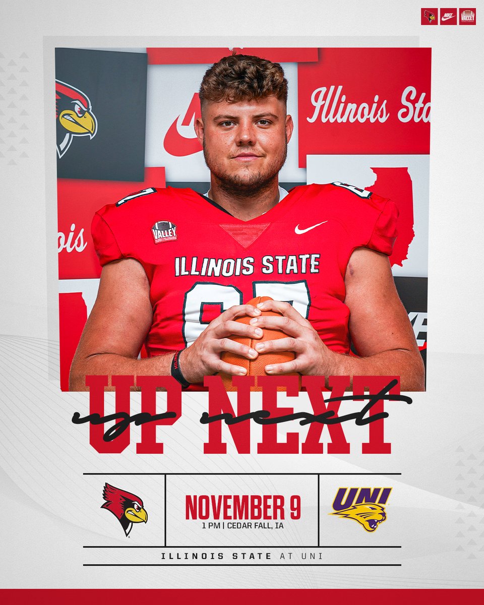 Birds at Cats 🔜