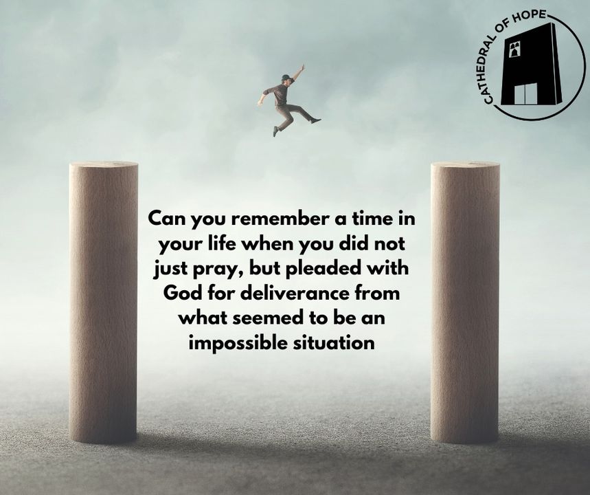 Cathedral Of Hope tweet media