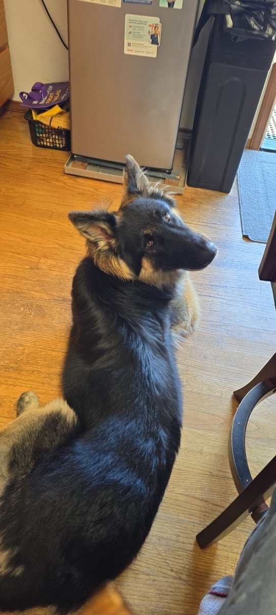 GrumpyLethak's tweet image. He saved me after my father passed.