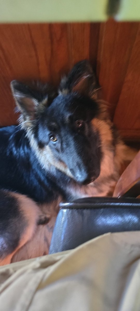 GrumpyLethak's tweet image. Always happy to spend time with dad.