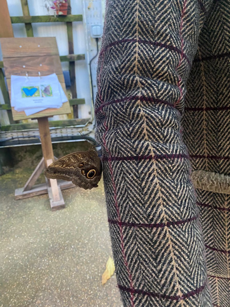 Elizabeth Geary Keohane tweet media