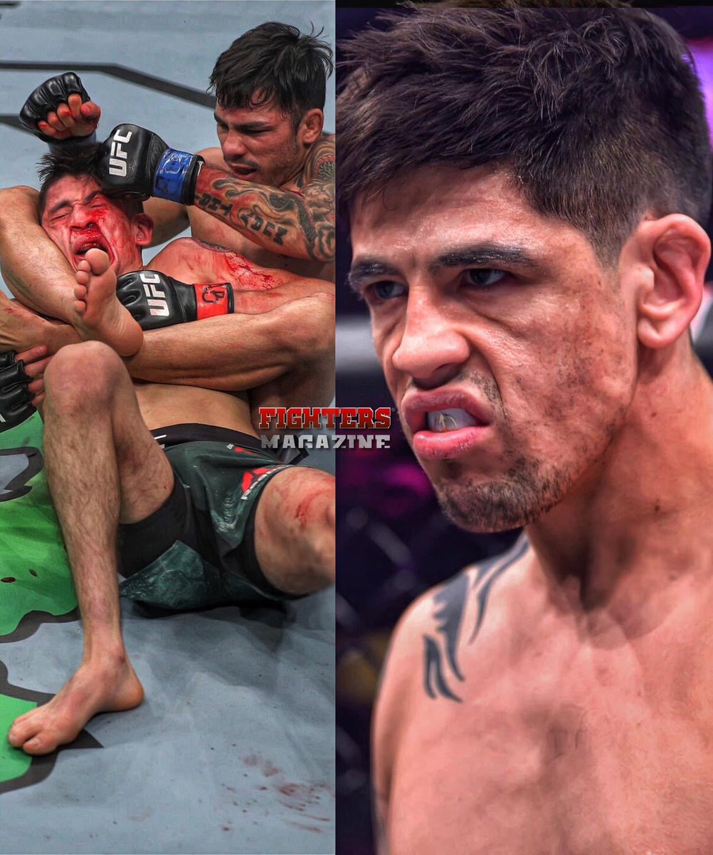 Fighters Magazine tweet media