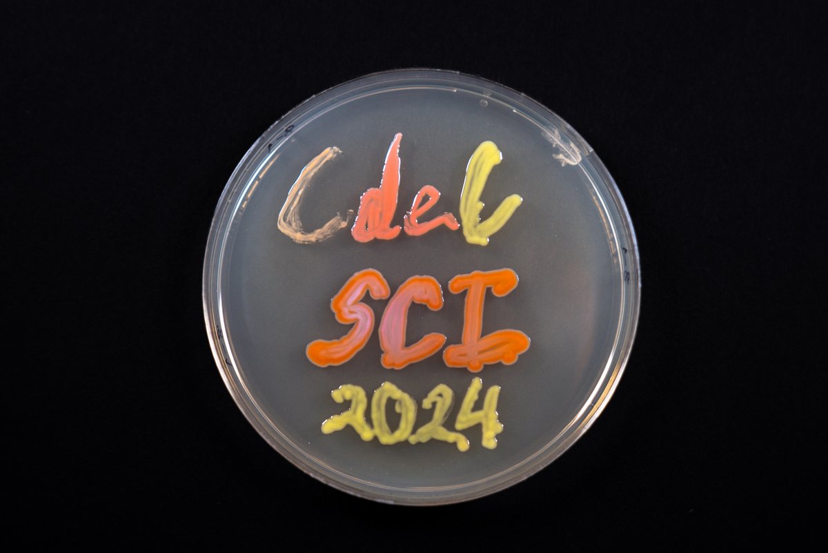 Science Clubs International tweet media