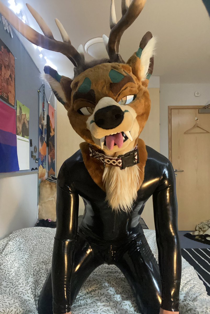 Sol_HybridDeer's tweet photo. Deer coded or latex coded 🤔 https://t.co/cO064eUAYl