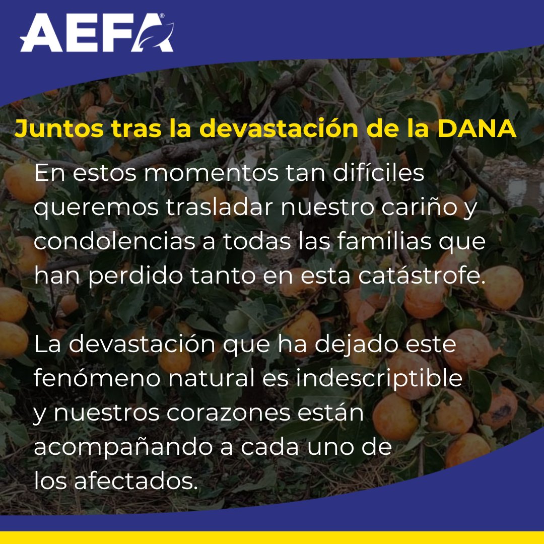 Querida #Valencia y demás comunidades afectadas tras la #devastación de la #DANA. Desde AEFA os queremos transmitir todo nuestra #fuerza, #apoyo y #esperanza en estos momentos tan difíciles.