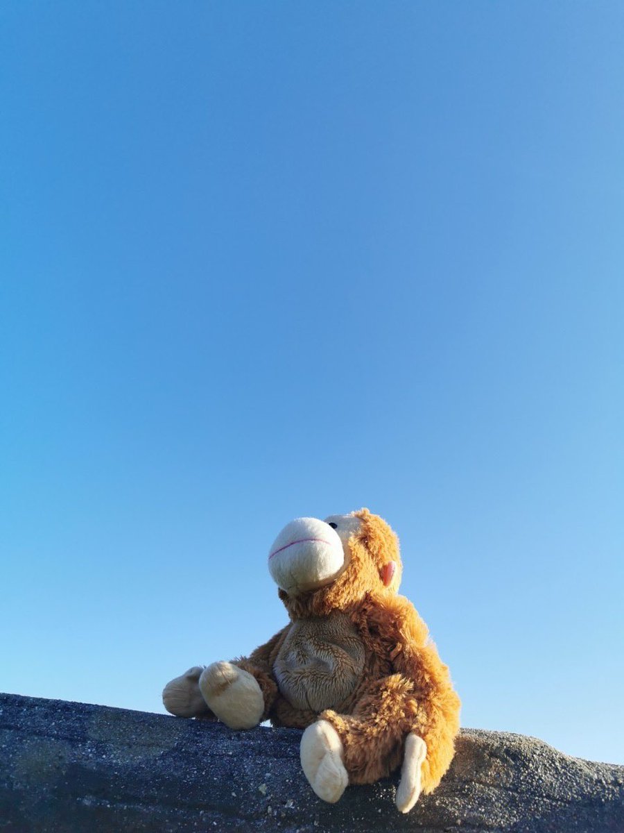 FutaKuchiMe29's tweet photo. 【毎日アウあざ season2】其の20

“ずっしり感じるリュックの重み
 美しい景色が待ってるから
 すぐに気にならなくなるさ”

#毎日アウあざ #やぁ久しぶり https://t.co/pTlCFnDkV4