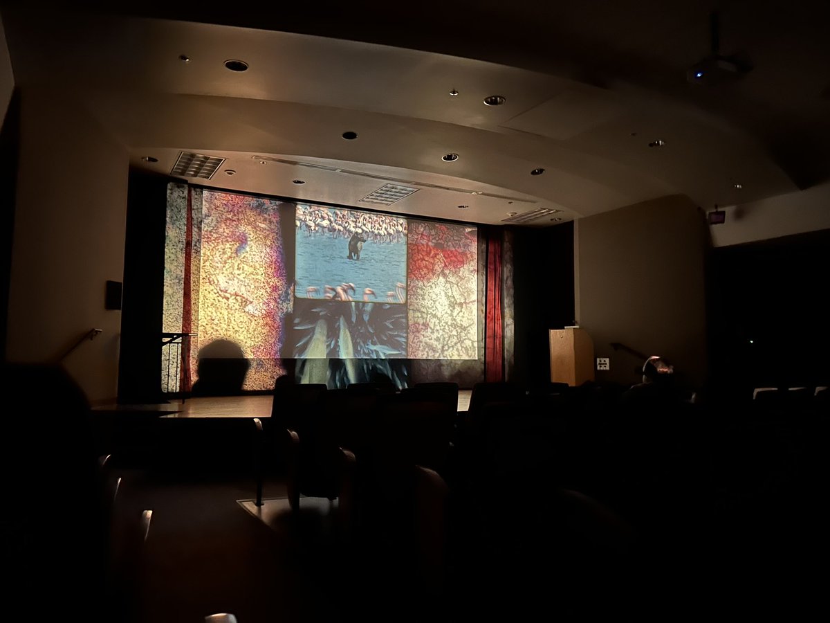 light matter this year- excellent curation from <a href="/jpjameshansen/">James Hansen</a>. highlights from the NY edition are films from Jodie Mack, Jen Reeves, Grace Mitchell, Ryan Marino, <a href="/____linnea/">lin</a>, <a href="/valennelav/">Valen Nelav</a> , <a href="/dogstarfran/">Francisco Rojas</a>, <a href="/secretflix/">Chris Kennedy</a>, Laura Kraning, Tristen Ives, Tracy Szatan…