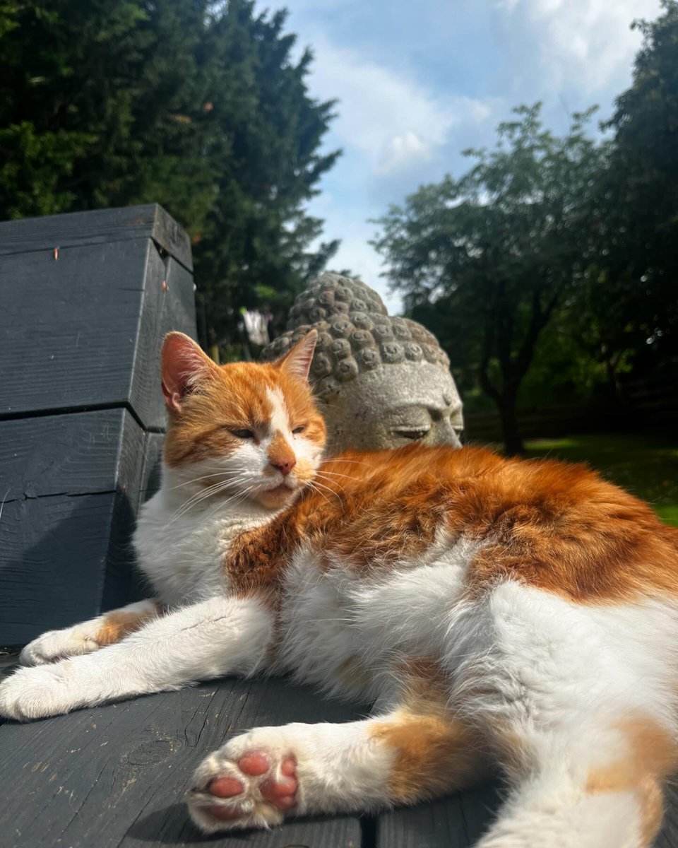 Em🏴󠁧󠁢󠁥󠁮󠁧󠁿🇸🇪 tweet media