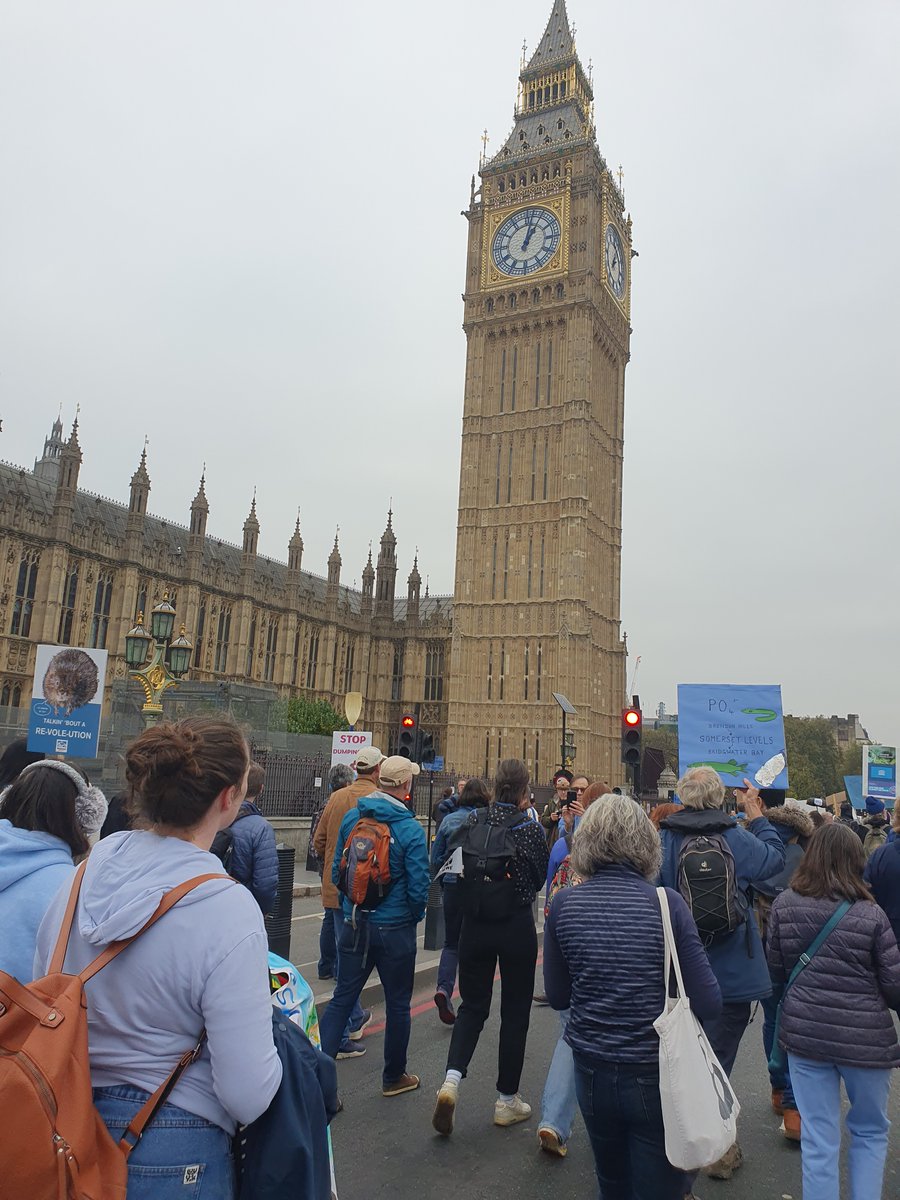 cmoncrieff1's tweet photo. Highlights from the #marchforcleanwater at the wkend. Happy to add a few drops of the River Chess to the collective bowl and my voice to the many calling for cleaner waters. Loved hearing from Chris Packham, 'don't cry over spilt sewage -take action' @ChilternSociety @RiverChess https://t.co/JiUE7dPcnZ