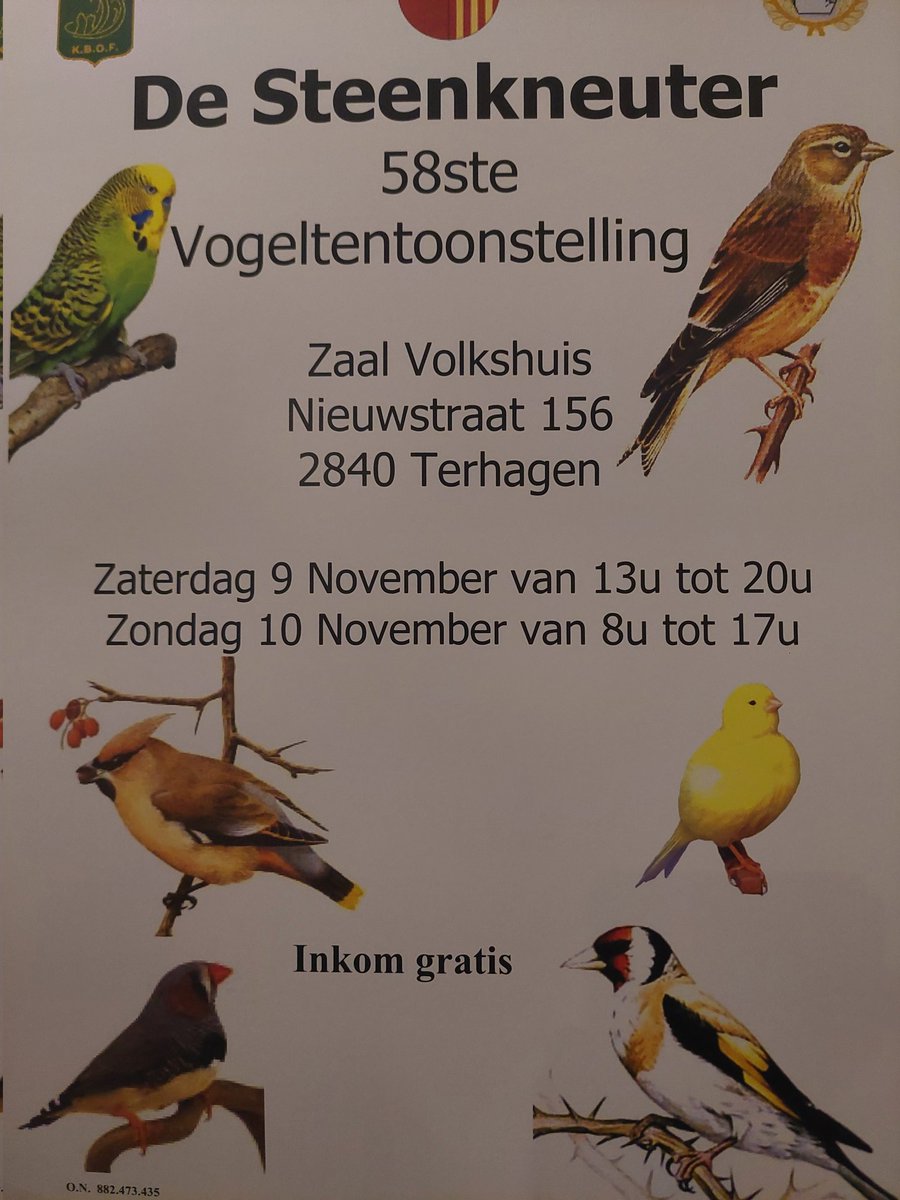 #thebeardontour® tweet media