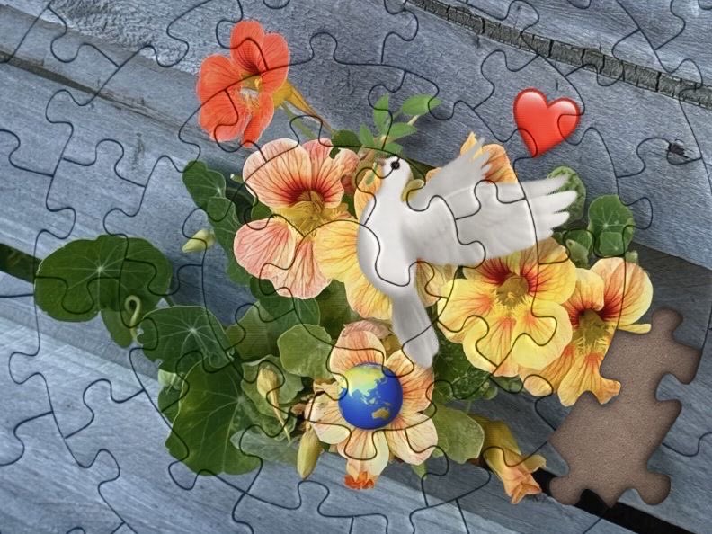 r_jon4's tweet image. #flowers #nature #puzzle 🌏🧩❤️🌻