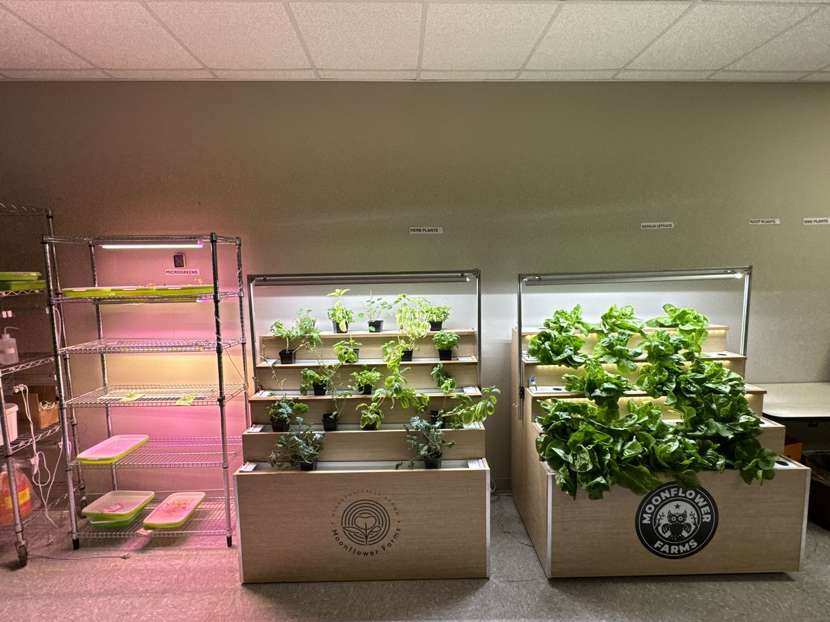 MagnetatDrewAcad tweet media