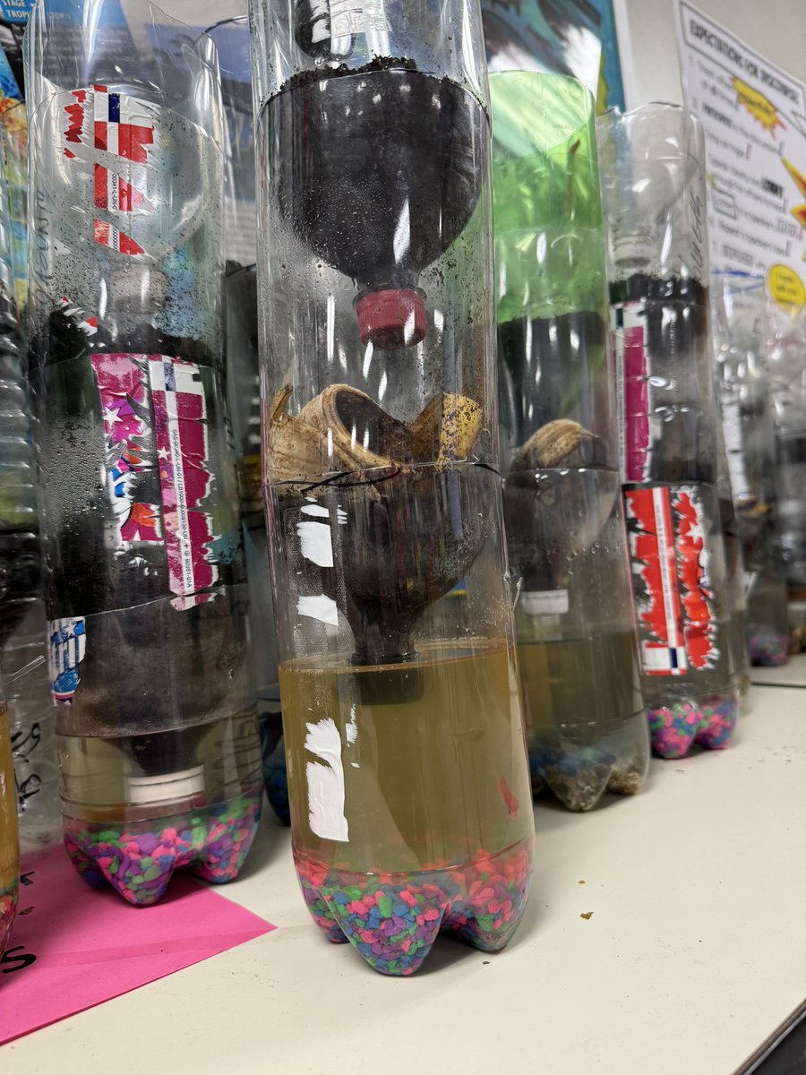 MagnetatDrewAcad tweet media