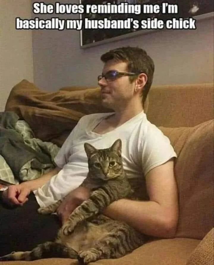 WholesomeMeme's tweet photo. https://t.co/nPX2bxc8Ne