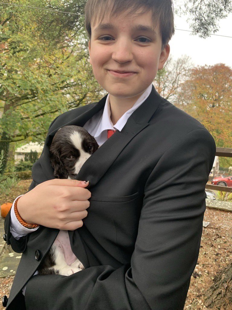 Style House tweet media