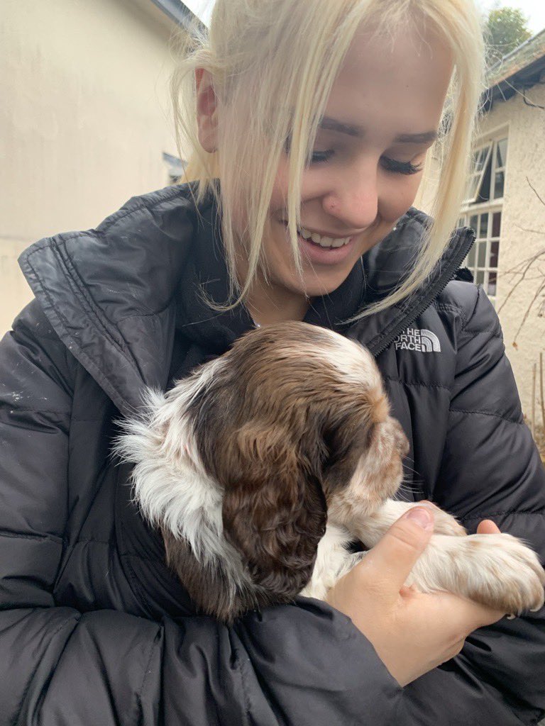 Style House tweet media