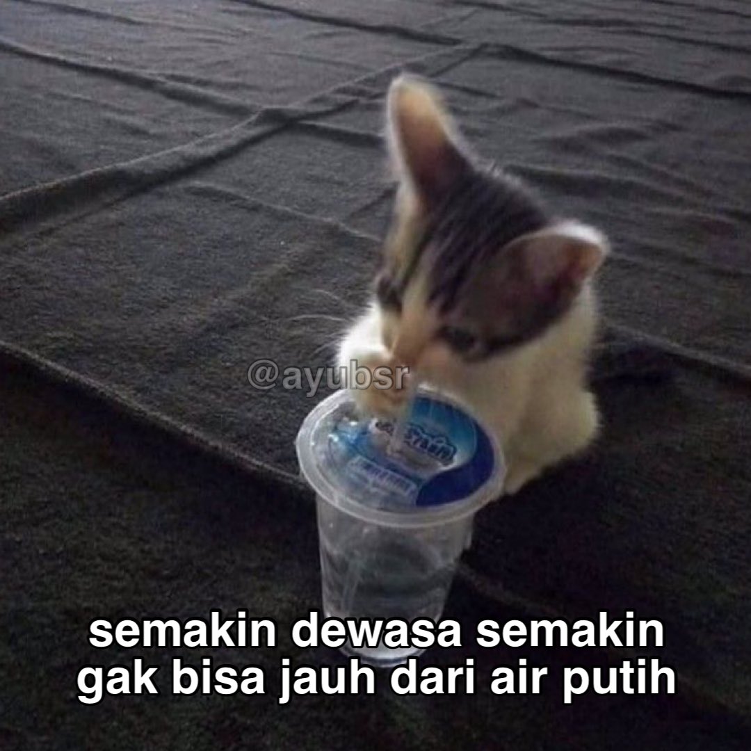 Ayu tweet media