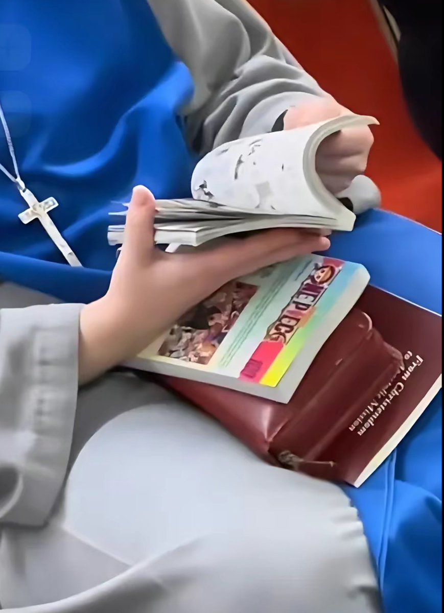 unonumero_56's tweet image. One Piece???