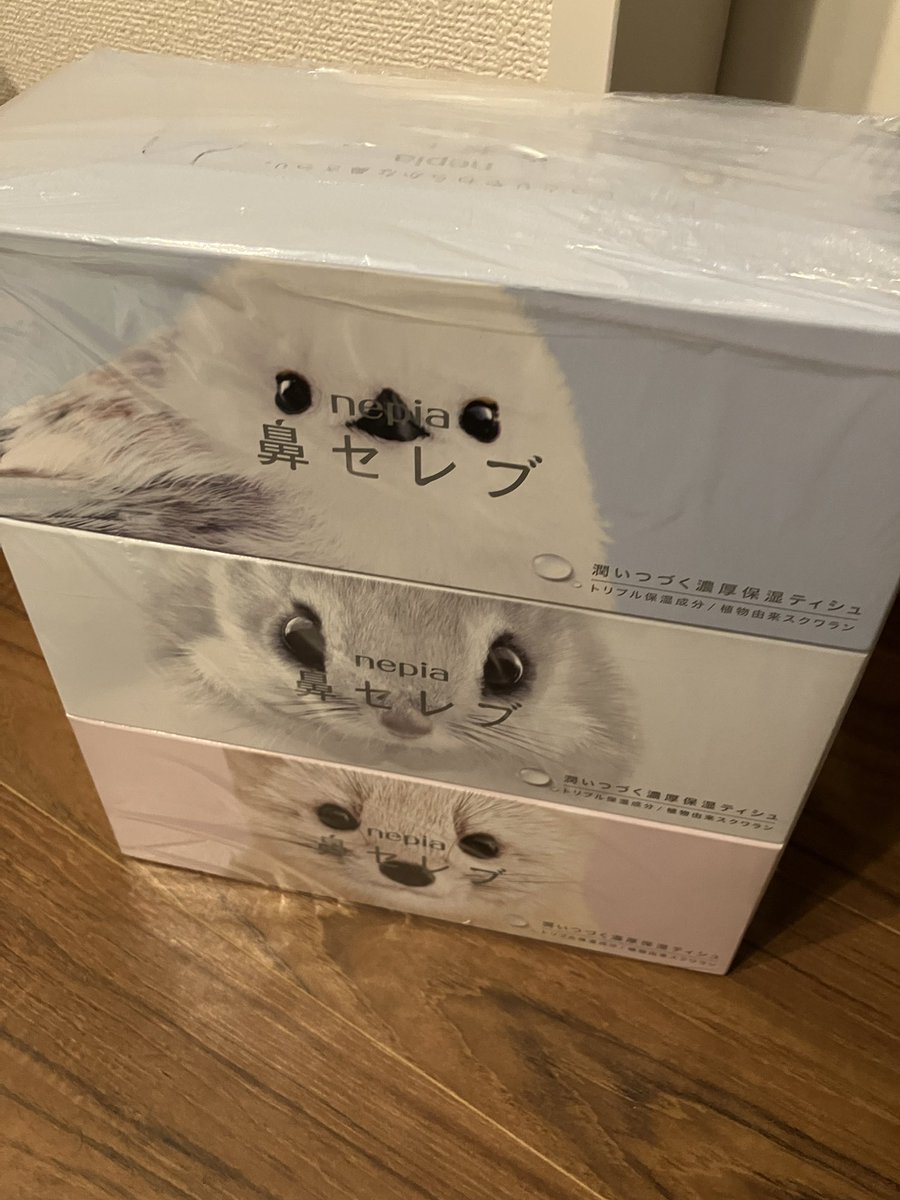 ymmtm0202's tweet photo. やっと巡り会えた🥹💬🫶　#シマエナガ #鼻セレブ https://t.co/I7Y4NPqlYD