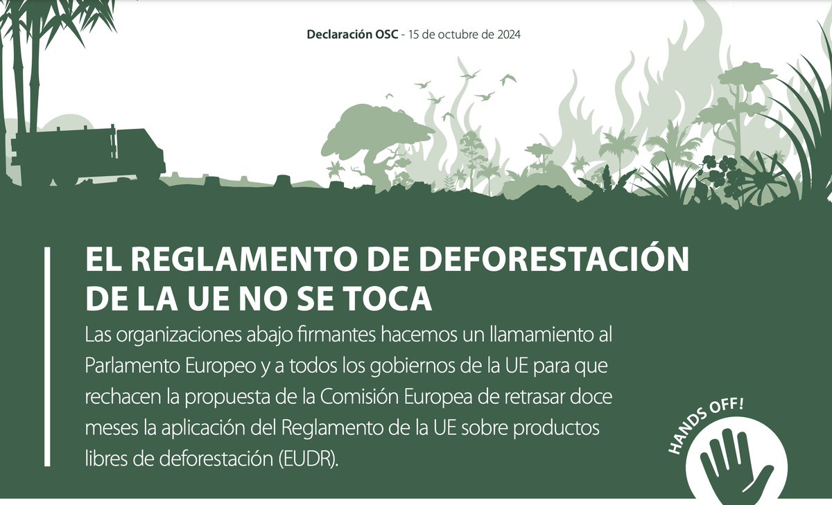 6/ 🌳 Los bosques son clave para un futuro sostenible y habitable. Lee la declaración completa 👉 bit.ly/4fB8esN #DeforestaciónCero #AcciónClimáticaYa
