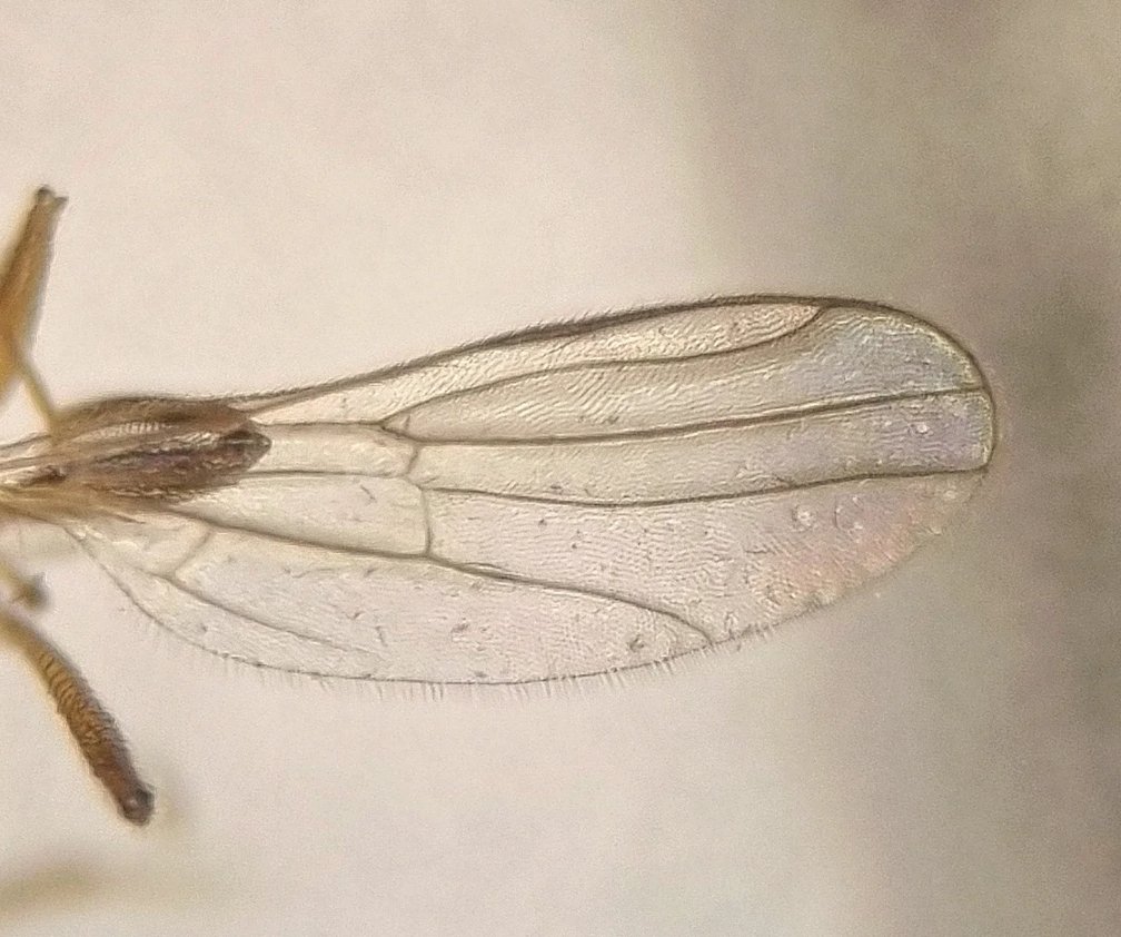 Ryan Mitchell tweet media