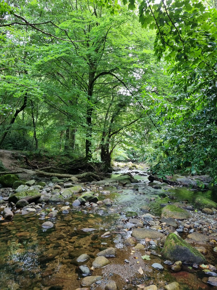 Ryan Mitchell tweet media