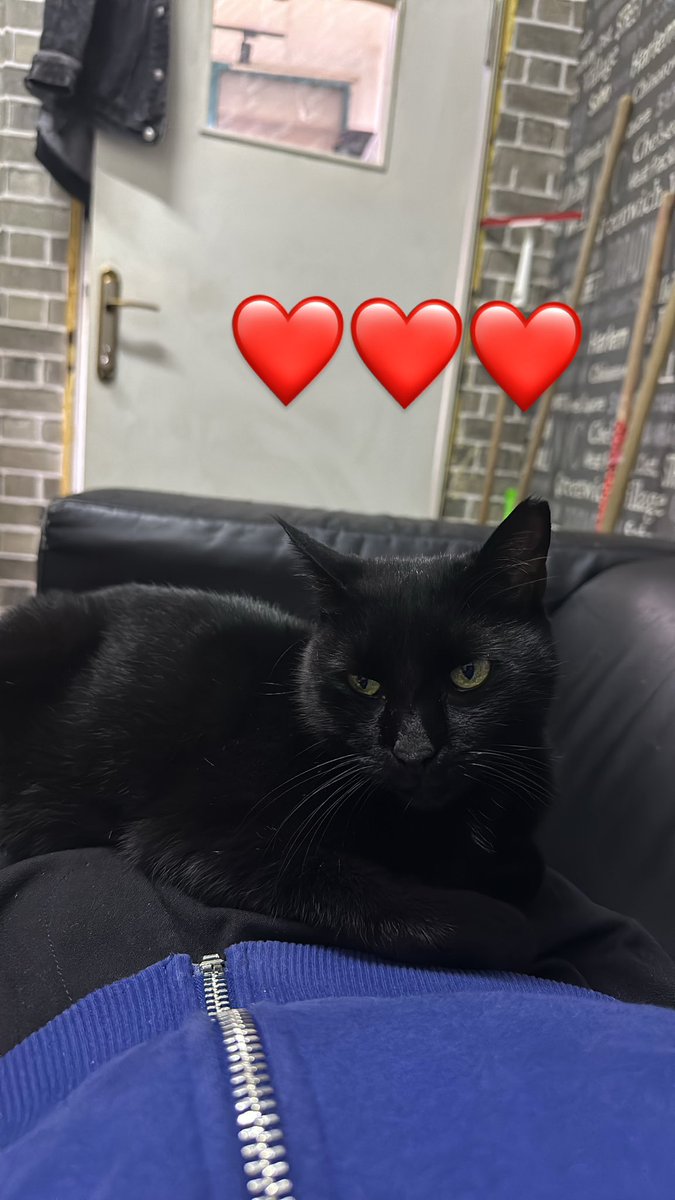 rıza (@rza45550990) on Twitter photo 