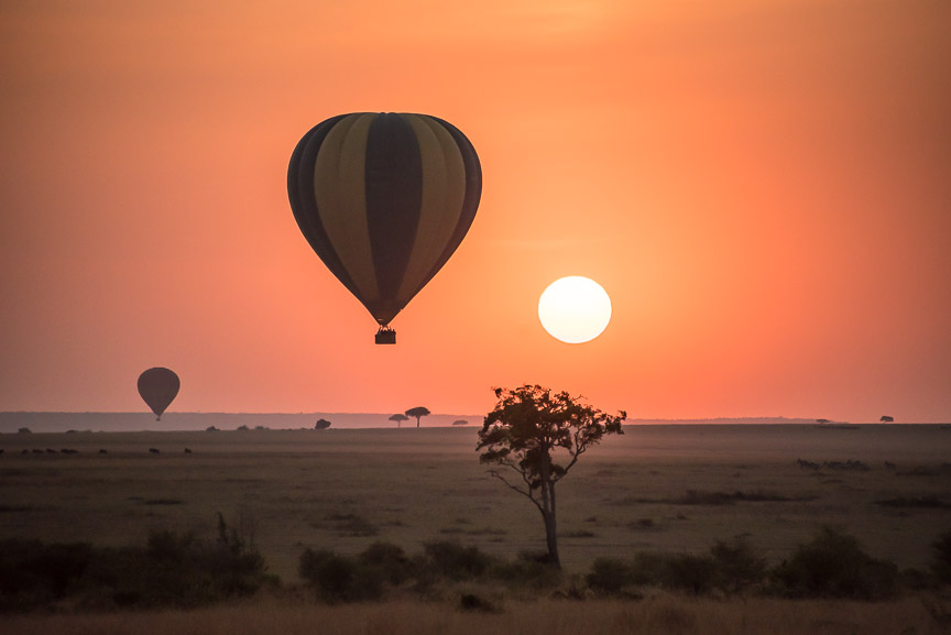 naturalworldke's tweet image. Good morning, world! We have another beautiful day for a hot air balloon safari in the Masai Mara. Experience the Masai Mara from a bird's-eye view. 📷📷
📷wilder group
#travel #masai #adventure #africa #nature #safari #Kenya #picoftheday #naturephotography #trend
