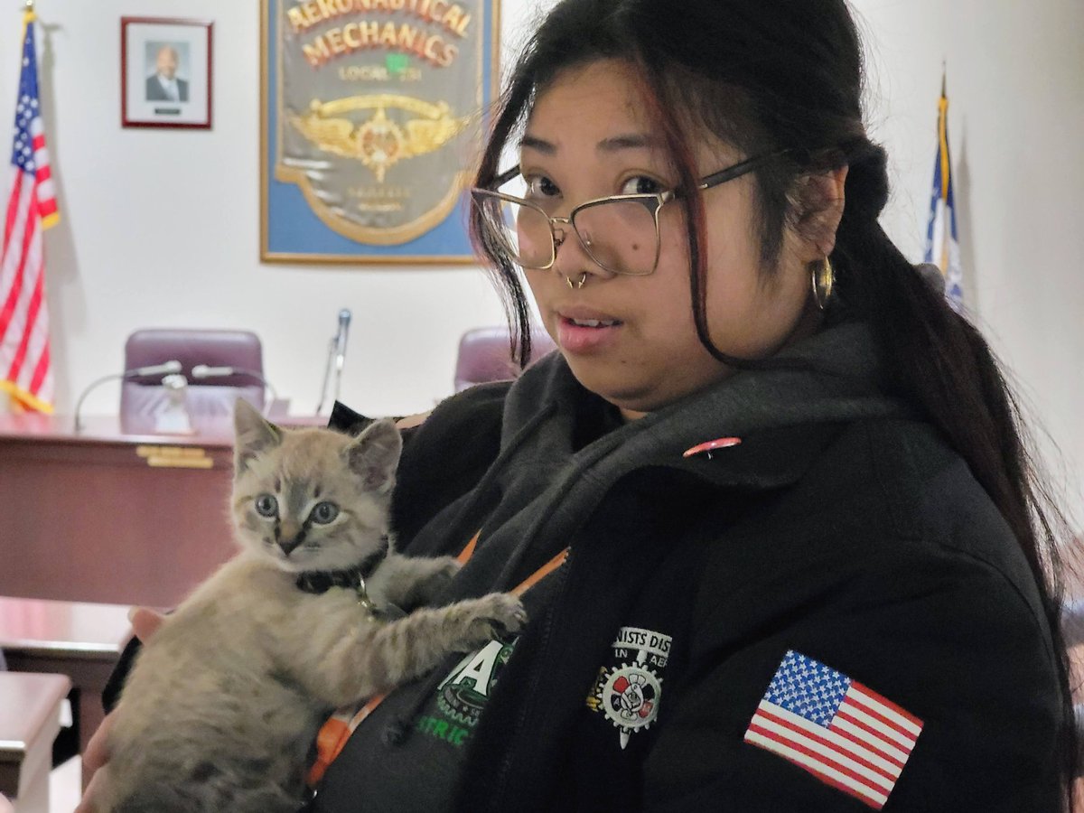 I'm at IAM District 751 Machinists Union Hall waiting on results from today's #Boeing contract vote.

While out on the picket line, machinists found this young kitten beneath the South Park Bridge on October 15th.

Cat's name is Striker.