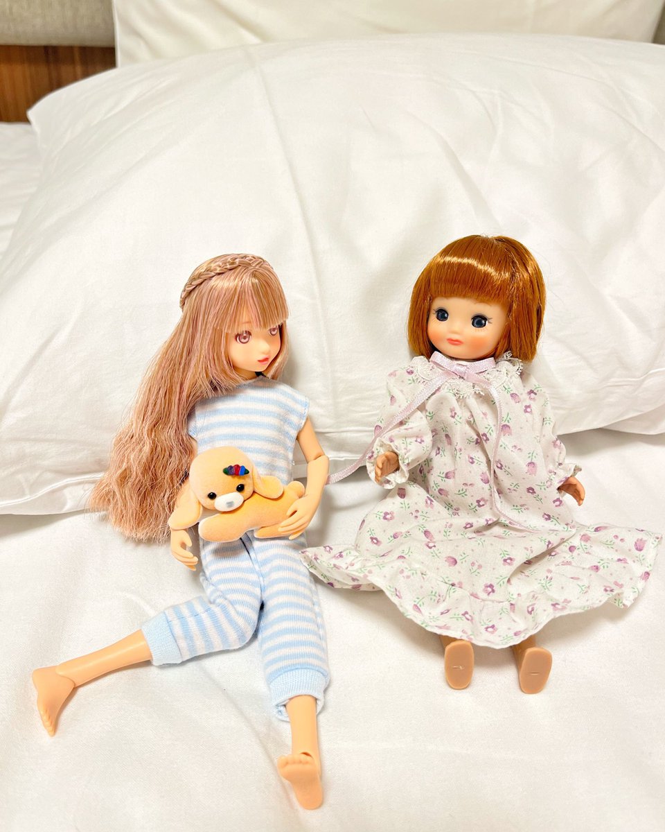 ribboncitronn's tweet photo. 薪ストーブを焚きはじめるまで自分の部屋が寒すぎてなかなか写真を撮れないのでボツショットの発掘
昨年の夏 上野に行った時のやつ
 #ruruko  #petworks  #tinybetsy https://t.co/JKcSei6FfF
